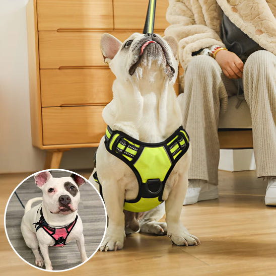 Harnais chien anti traction- True love
