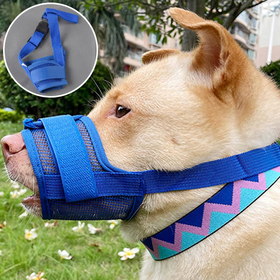 Muselière chien- Souple en maille* Bleu