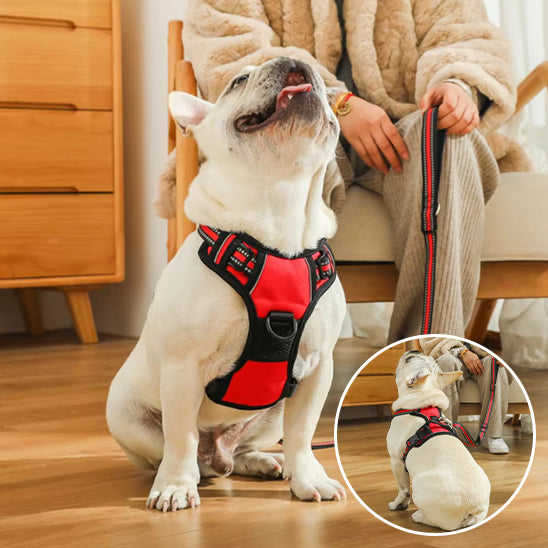 Harnais chien anti traction- True love
