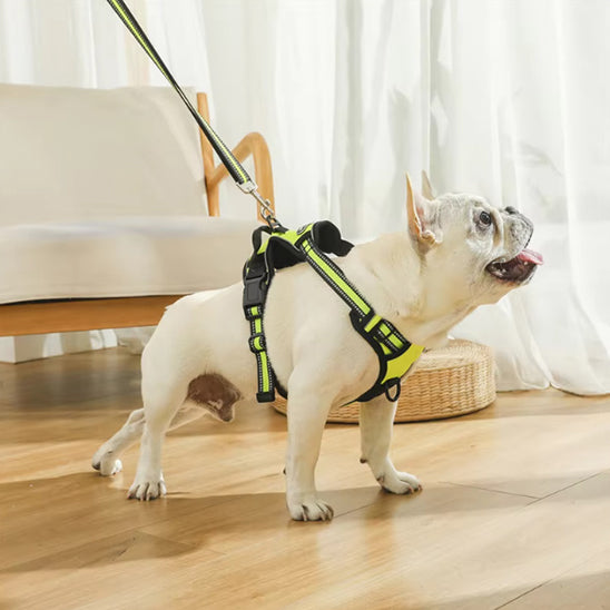 Harnais chien anti traction- True love