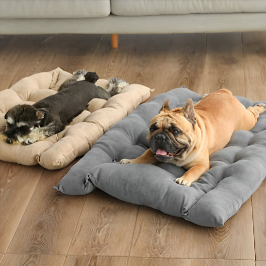 Panier chien- Trois formes