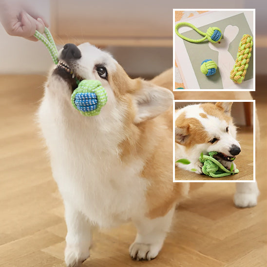 Jouet pour chien- 7 PCS Corde
