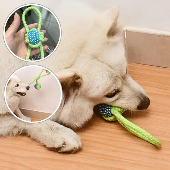 Jouet pour chien- 7 PCS Corde