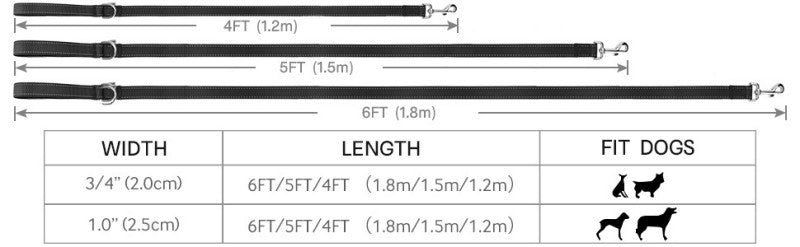 Laisse pour chien réfléchissante classique - Le Chihuahua Voyageur