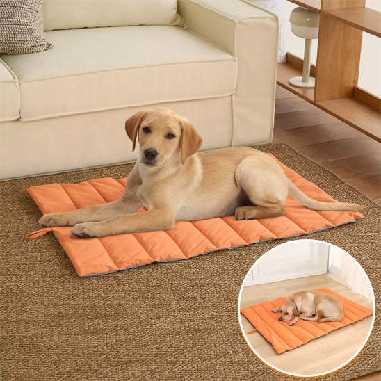 lit-pour-chie-sac-couchage-multi-usage