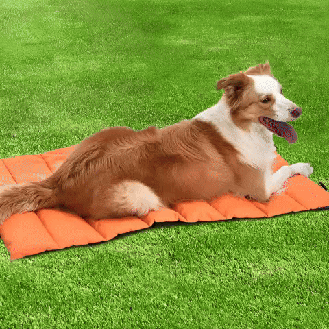 Lit pour chien - Sac de couchage