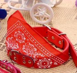 Bandana chien | Fashionista Paisley