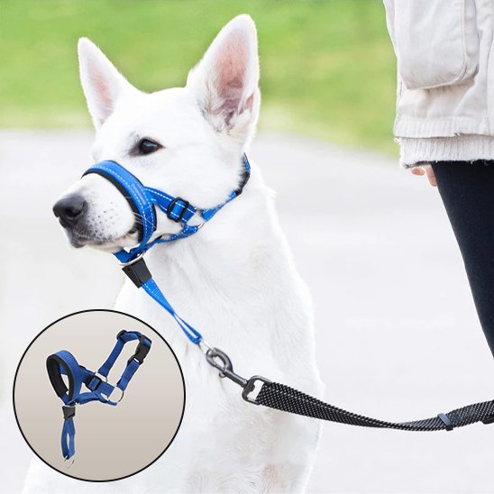 Muselière Confort pour Chien | PawSafe