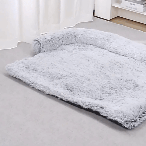tapis-pour-chien-divan-lit