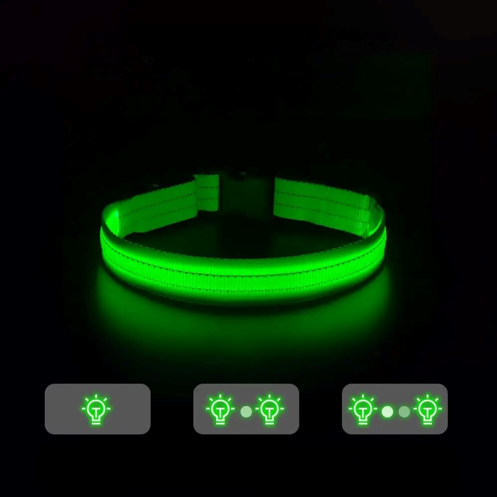 Collier lumineux Chien - LEDCollarDog™ - Vert