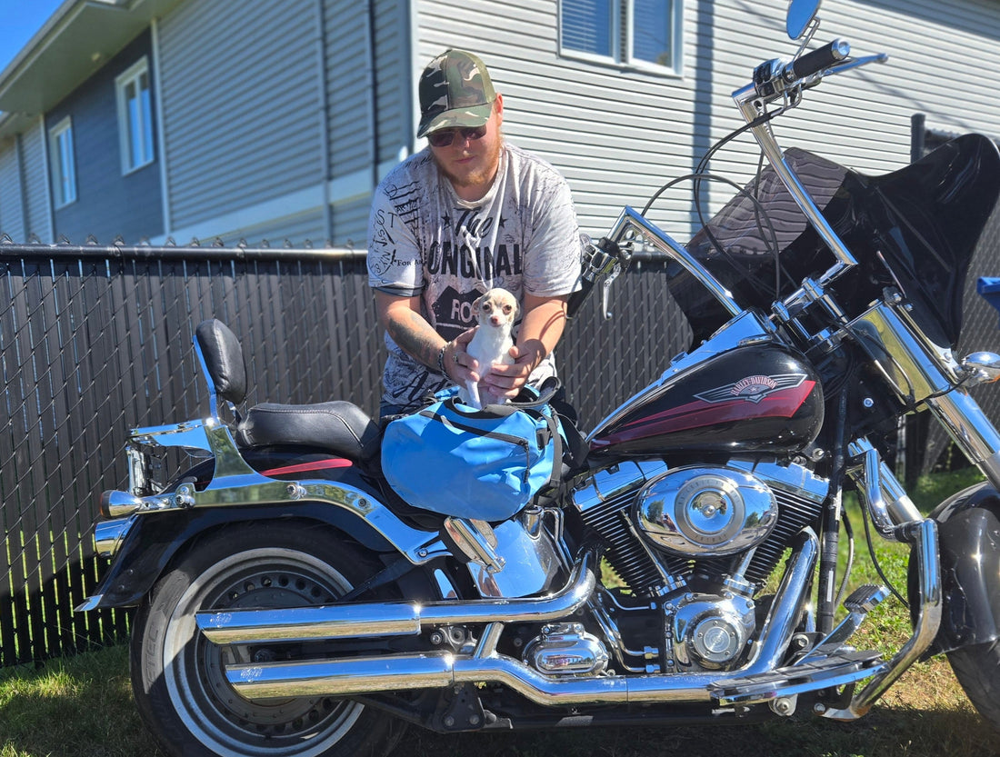 Sac a dos chien : Guide complet pour choisir le meilleur transporteur