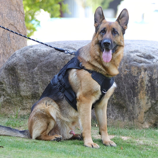 harnais anti traction chien- Explosion-proof Impact Dog Tactical