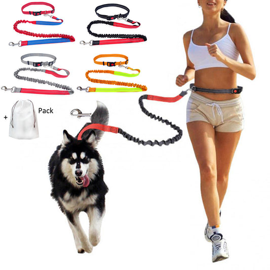 Laisse de chien- Ultimate Comfort