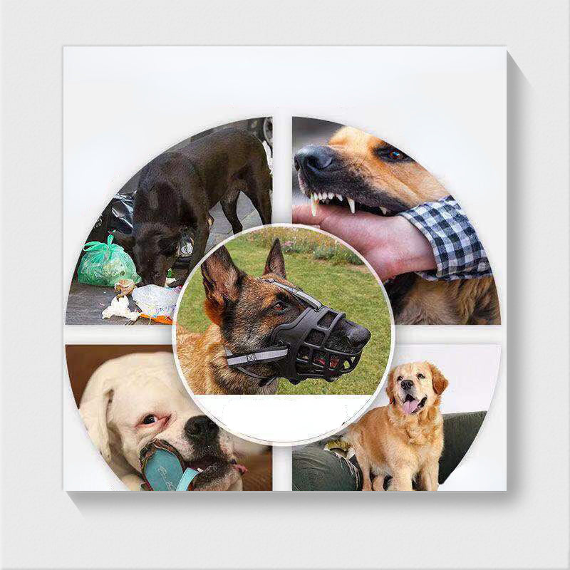 Muselière- Chien Protec-confort