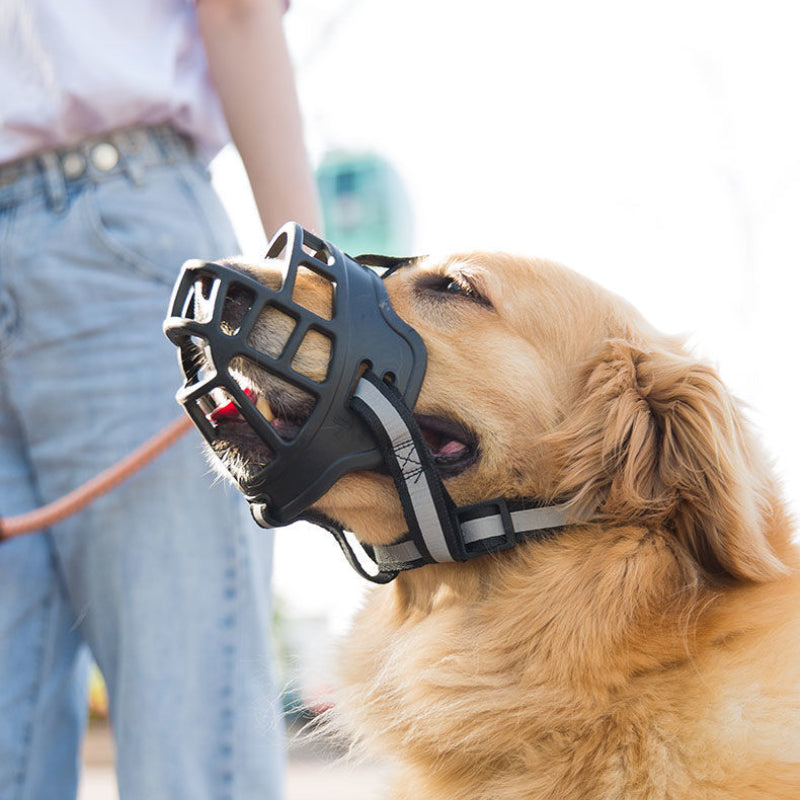 Muselière- Chien Protec-confort