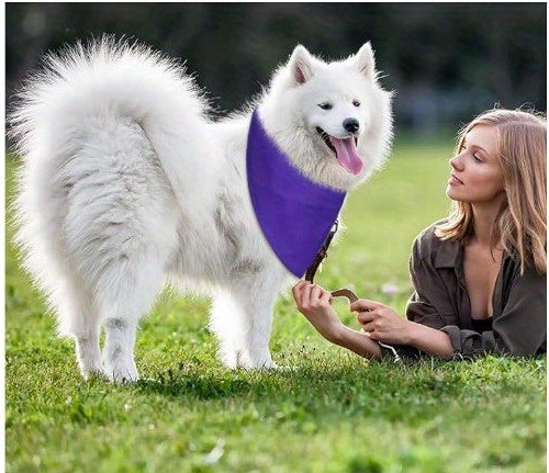 Bandana personnalisé pour chien | KOKAY,20pcs