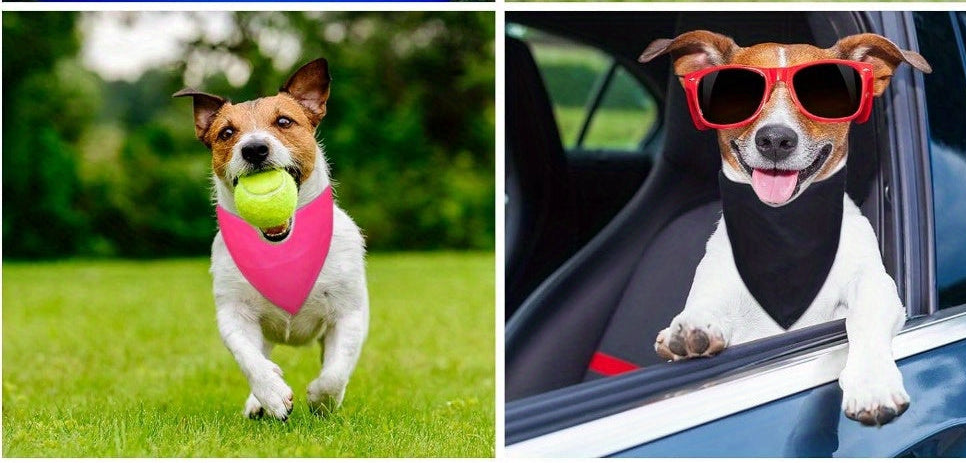 Bandana personnalisé pour chien | KOKAY,20pcs