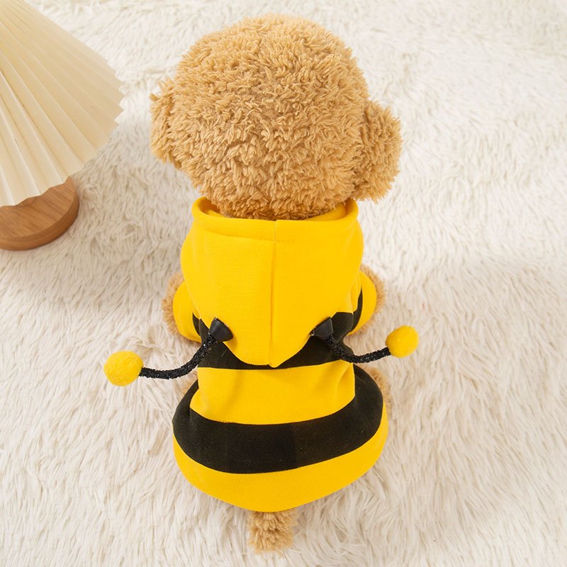 Pull chien | Bee Cozy