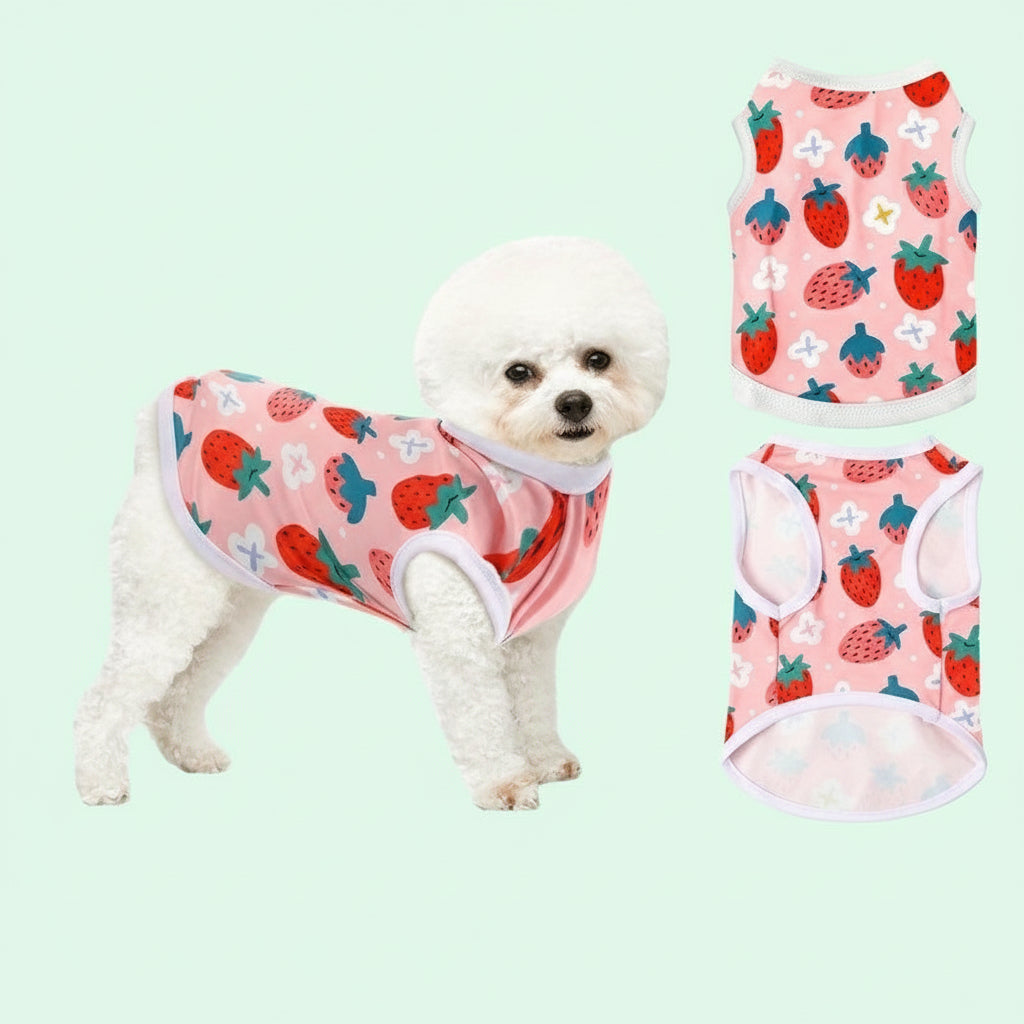 Pull pour chien | Cozy Pets 25 unités