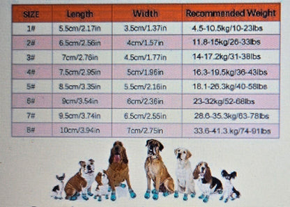 Des Chaussure chien- HavenfLy Dog