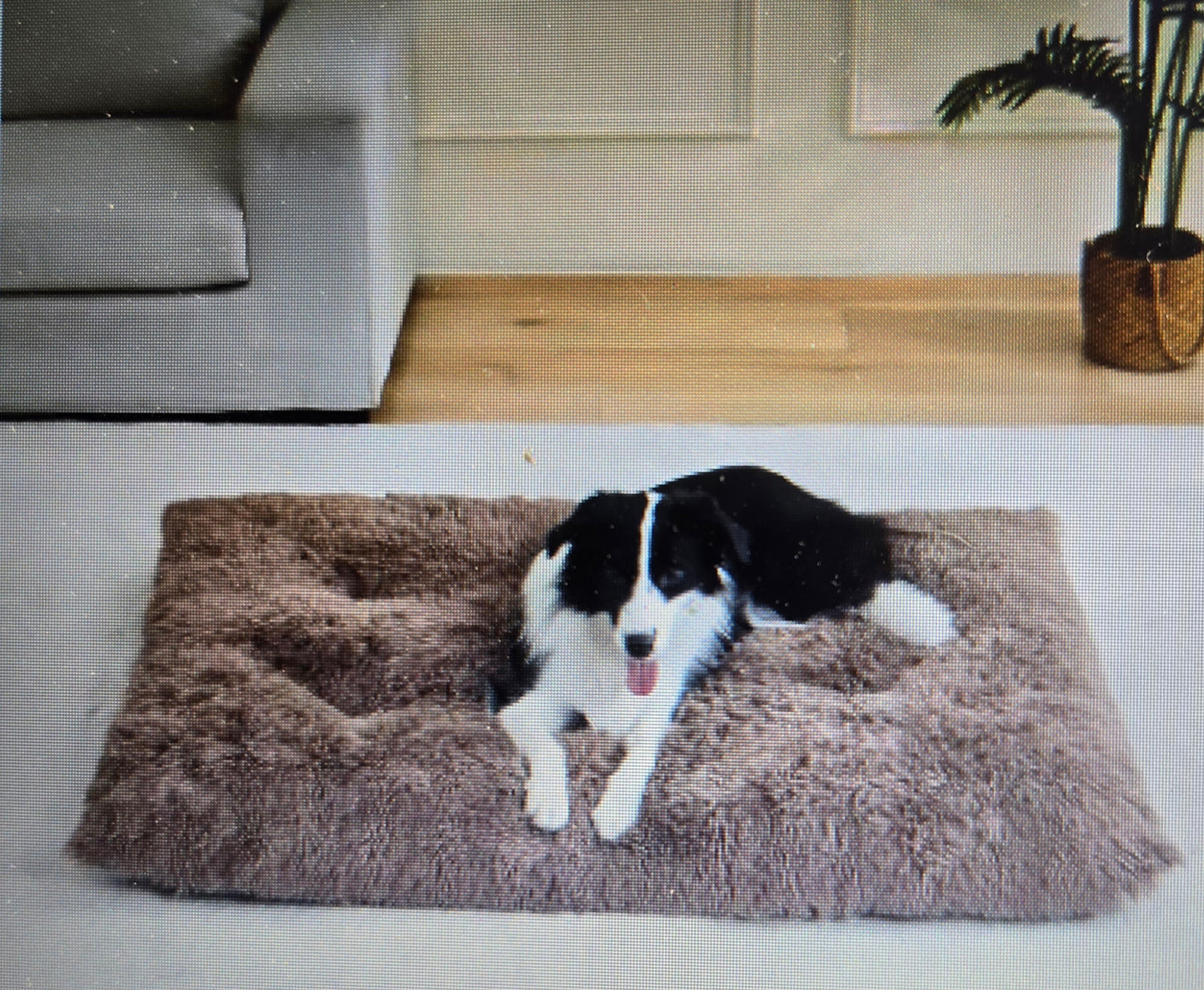Coussin pour chien- Tapis douillet
