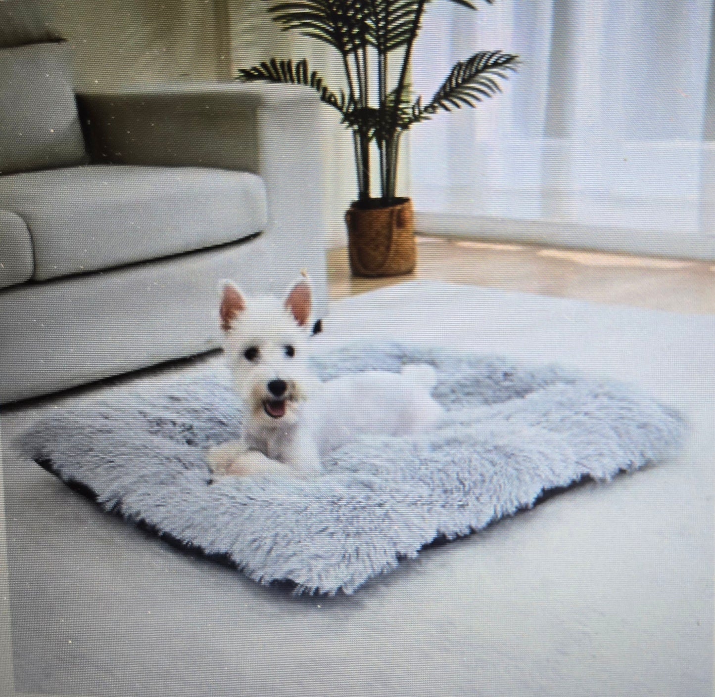 Coussin pour chien- Tapis douillet