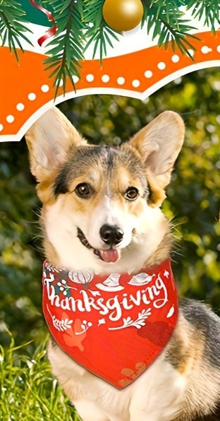 Bandana pour chien | Festif de Noël 30pcs