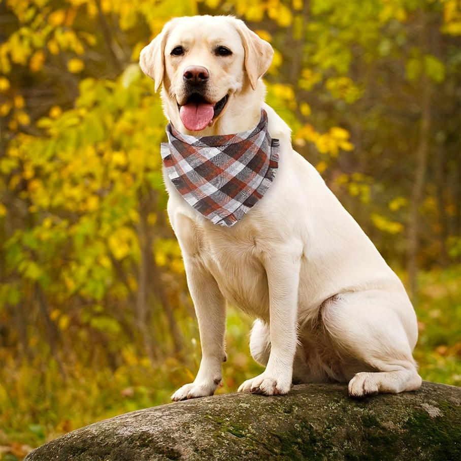 Bandana chien | Écossais