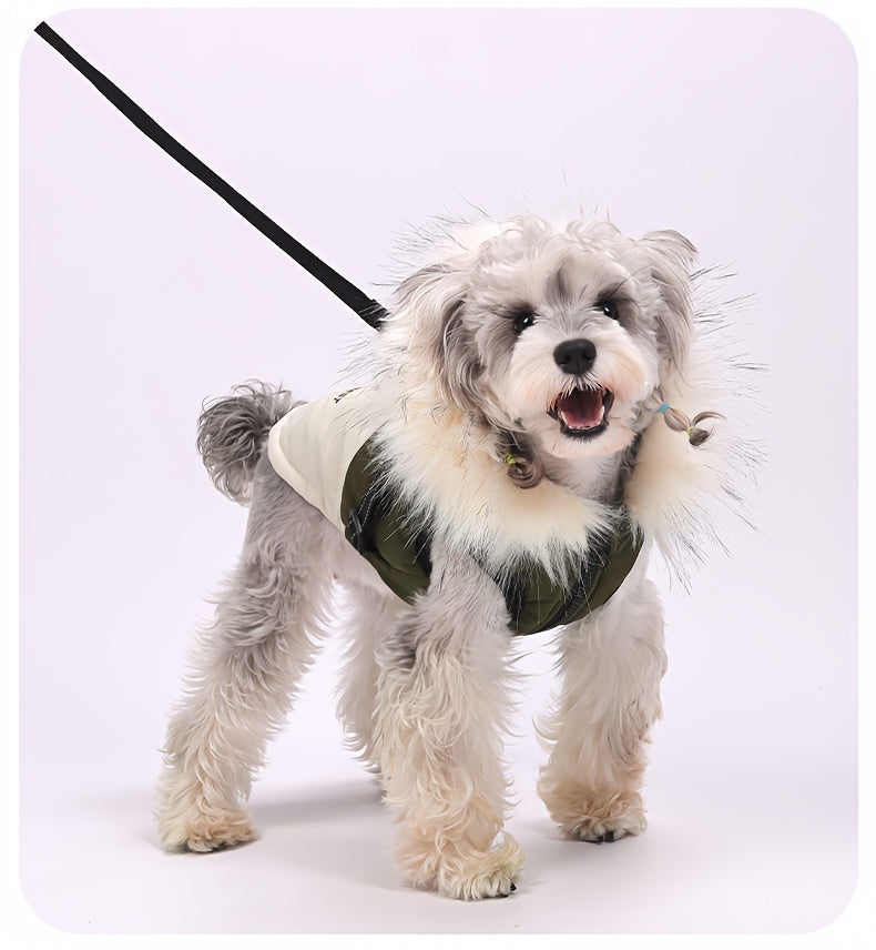 Manteau pour chien | Technologie Graphene
