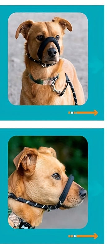 Muselière Anti-Traction | ComfortWalk