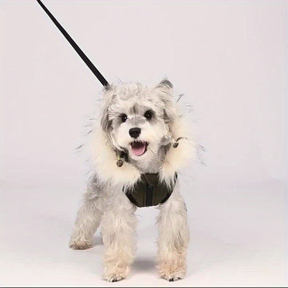 Manteau pour chien | Technologie Graphene