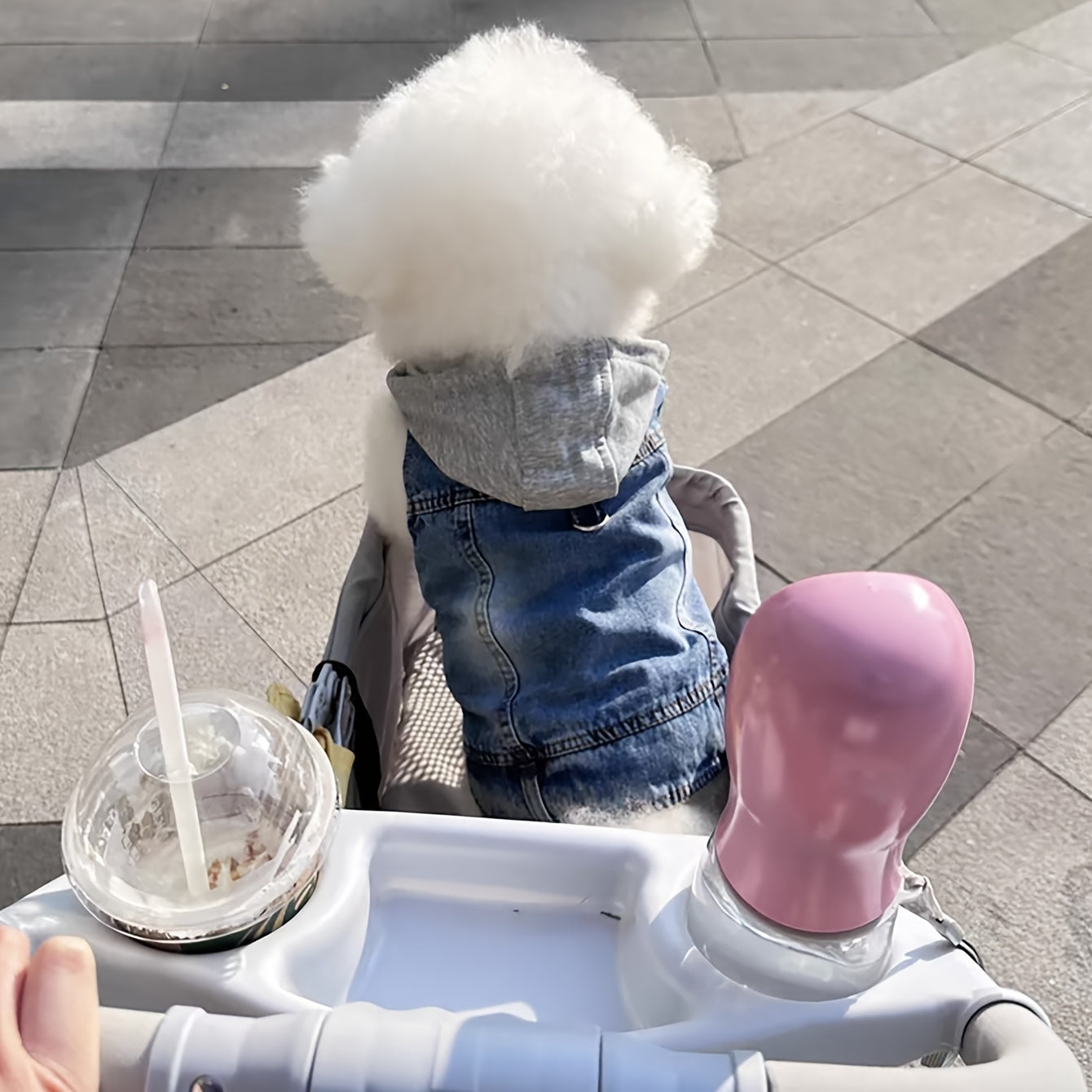 Manteau petit chien | Winter Denim Confort