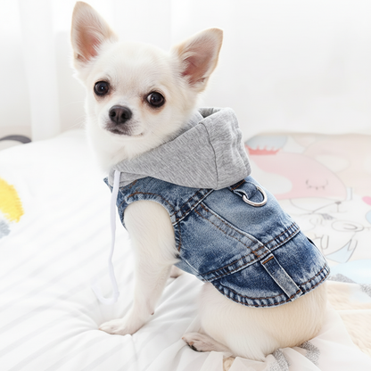 Manteau petit chien | Winter Denim Confort
