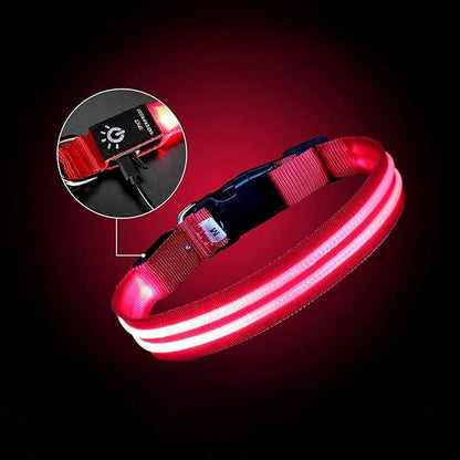 Collier lumineux Chien - LEDCollarDog™ - Rose