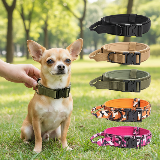 Collier de dressage pour chien- Heavy-Duty Tactical Dog Collar