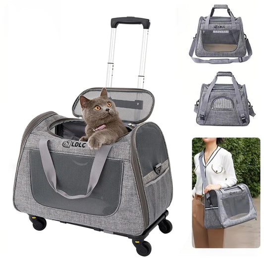 Caisse de transport chien- 3 in 1 Portable