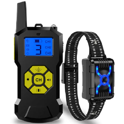 Chien collier de dressage | T500 Citronnelle