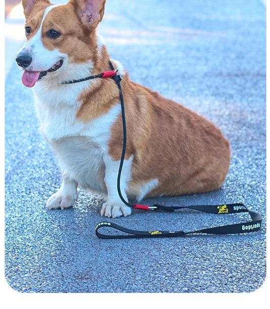 Laisse pour chien JANPET Choking Rope