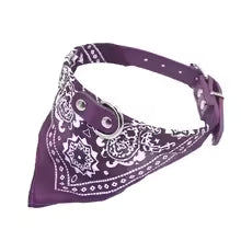 Bandana chien | Fashionista Paisley 2