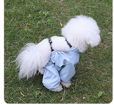 Bottes pour chien | Bottes Manteau 4