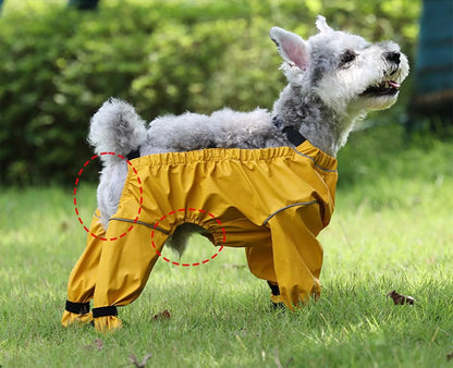 Bottes pour chien  Imperméables Tout-Terrain