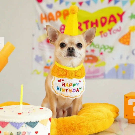 Chapeau Festif pour Chien | Anniversaire Mémorable 1