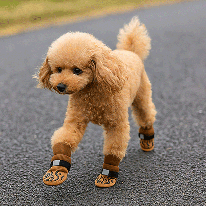 Chaussette pour chien | PattProtect