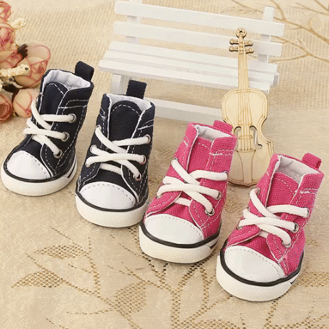 Chaussure Chien | PawProtect