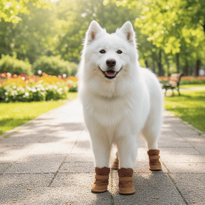 Chaussure pour Chien | Imperméables & Confortables