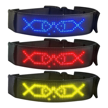 Chien collier lumineux | SafePet 5