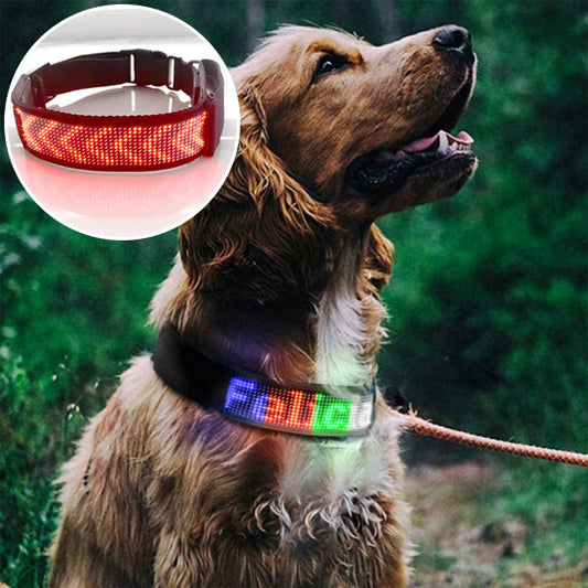 Collier chien Bluetooth
