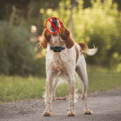 Collier anti aboiement petit chien | SilencePro 2