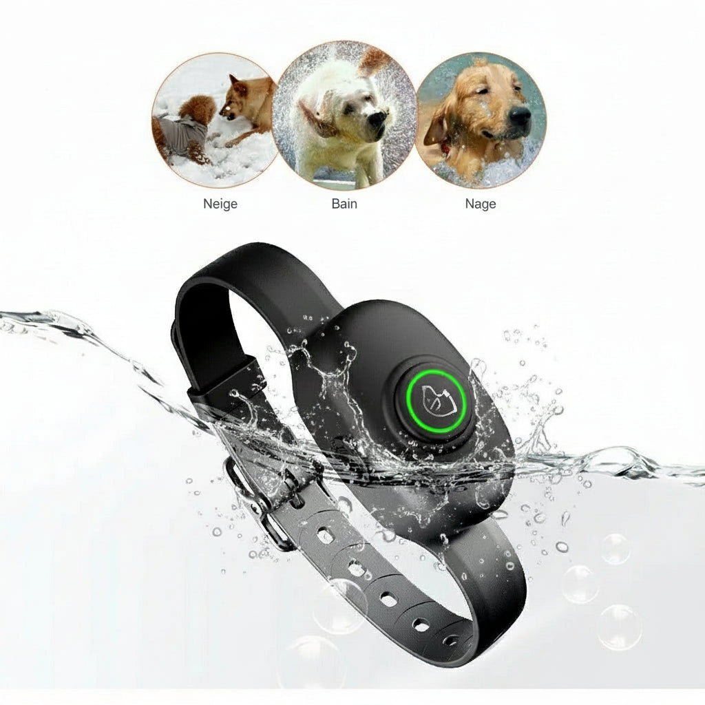 Collier anti aboiement petit chien | SilencePro 4