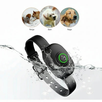 Collier anti aboiement petit chien | SilencePro 4